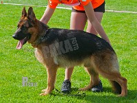 Team-Buddi-Boomer-HAS-2015-9638