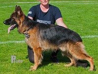 Team-Dika's-Messi-HAS-2015-9867