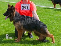 Team-Dika's-Nya-HAS-2015-9234