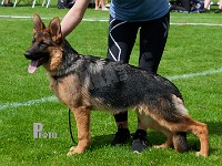 Team-Paka's-Ariana-HAS-2015-9113