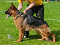 Team-Paka's-Untox-HAS-2015-9898