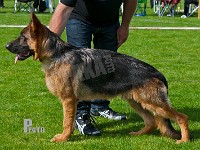 Team-Paka's-Yen-HAS-2015-9425