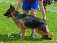 Team-Paka's-Zarita-HAS-2015-9247