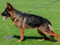 Team-Pakas-Xanthia-220815-1059