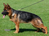 Team-Pakas-Xanthippe-09082015-