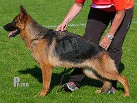 Team-Sajo-Filippa-HAS-2015-9819