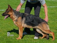 Team-Sajo-Fleur-HAS-2015-9836