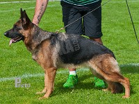 Team-Thomsebo-Diamond-HAS-2015-9996