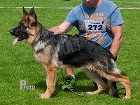 Thomsebo-Nemesis-HAS-2015-9169