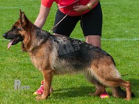 Thornblads-Pandora-HAS-2015-9978