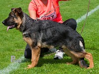 Thornblads-Qimmi-HAS-2015-9102