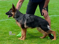 Thornblads-Quista-HAS-2015-9084