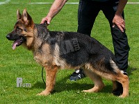 Team-Marlboro-Aslan-HAS-2015-9151