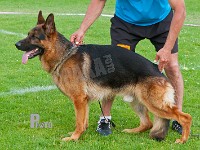 Team-Marlboro-Atos-HAS-2015-0514