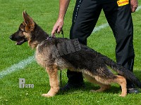 Team-Marlboro-Boss-HAS-2015-9185