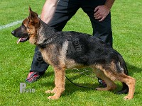 Team-Marlboro-Canto-HAS-2015-9205