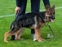 Team-Marlboro-Carmen-HAS-2015-9126