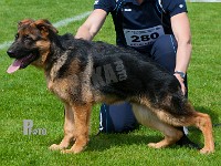 Team-Marlboro-Chako-HAS-2015-9179