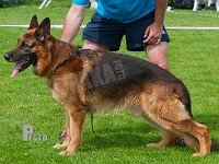 Team-Marlboro-Deco-HAS-2015-0311