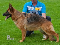 Team-Marlboro-Enya-HAS-2015-0381