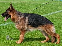 Team-Marlboro-Iron-HAS-2015-0110