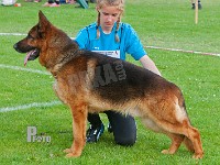 Team-Marlboro-Jako-HAS-2015-0519