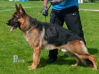 Team-Marlboro-Nexus-HAS-2015-0154