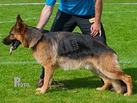 Team-Marlboro-Odin-HAS-2015-9908