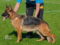 Team-Marlboro-Oline-HAS-2015-9811