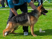 Team-Marlboro-Raika-HAS-2015-9541