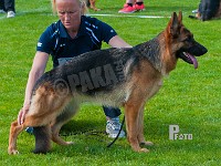 Team-Marlboro-Rose-HAS-2015-9508