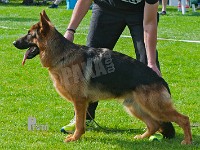 Team-Marlboro-Samson-HAS-2015-9600