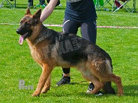 Team-Marlboro-Santo-HAS-2015-9594