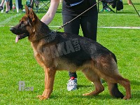 Team-Marlboro-Santos-HAS-2015-9591