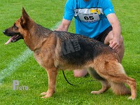 Team-Marlboro-Tasha-HAS-2015-0342