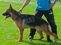 Team-Marlboro-Turbo-HAS-2015-9628