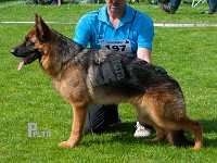 Team-Marlboro-Uno-HAS-2015-9392