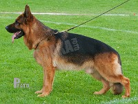 Team-Marlboro-Uran-HAS-2015-0504