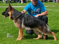 Team-Marlboro-Vector-HAS-2015-9421