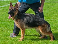 Team-Marlboro-Vegas-HAS-2015-9442