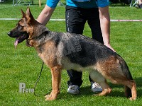 Team-Marlboro-Vila-HAS-2015-9305