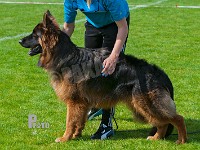 Team-Marlboro-Walleby-HAS-2015-9369