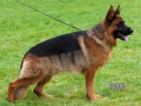 Team-Pakas-Kappa-241015-1669