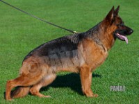 Team-Pakas-Xanthia-170916-8397