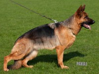Team-Pakas-Zofia-090416-4526