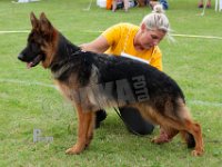 Alderslyst-Rollo-HAS2019-6317