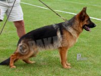 Almebos-Gigi-HAS2019-6273