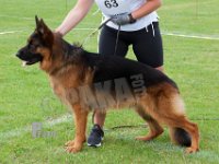 Calippo-Iago-HAS2019-6340