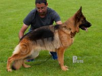 Calippo-Inez-HAS2019-7393
