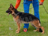 Calippo-Kelly-HAS2019-6767